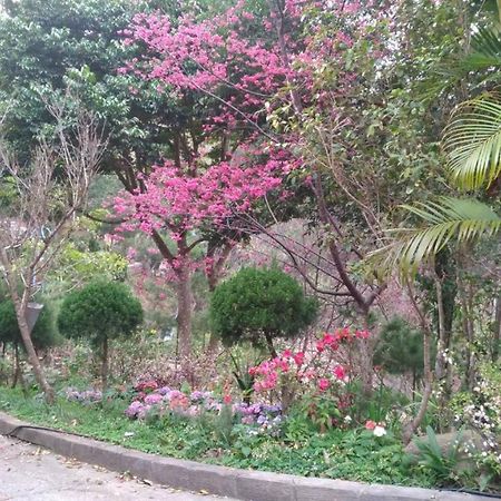 Ruyi Yuan Homestay Tongxiao Exteriör bild
